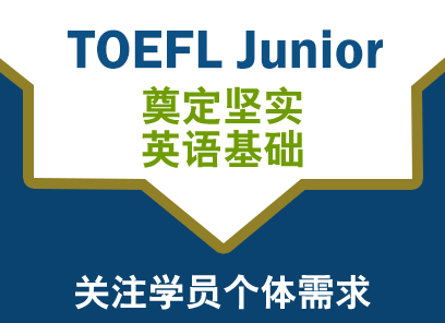TOEFL Junior一对三