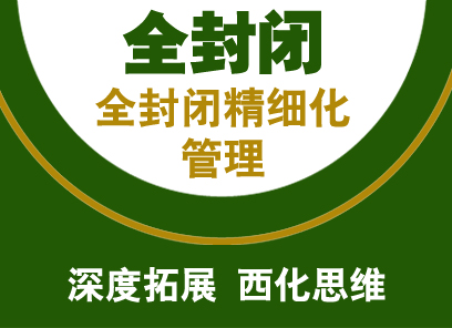 全封闭雅思20天保6.5分班（10人）