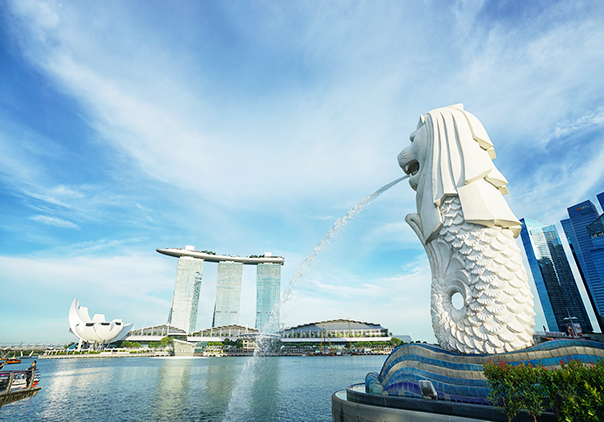 新加坡趣味项目式学习360度体验营