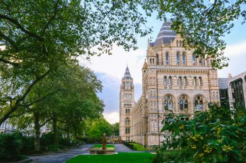 英国签证“加急”服务恢复！驻英使馆安排航班助力中国学生回国！