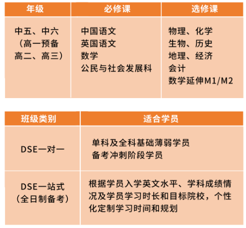 香港DSE考试