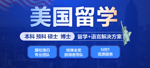 美国纽约州立大学